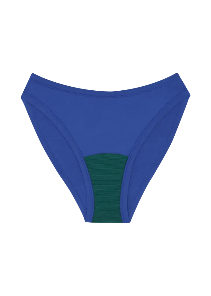 High Rise Bikini