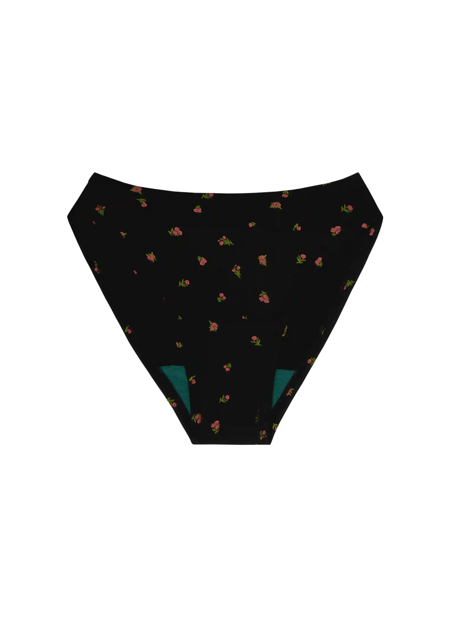 High Rise Bikini