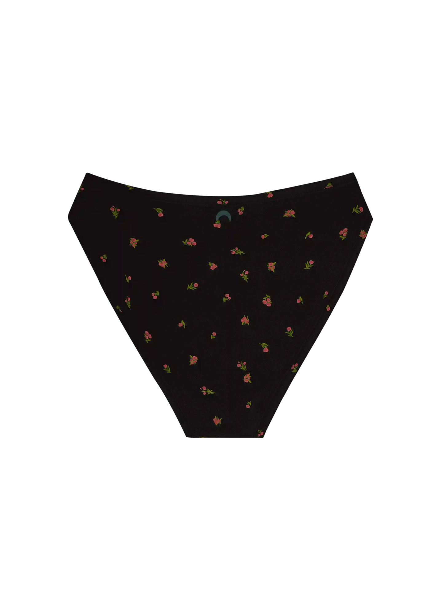 High Rise Bikini